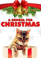The Christmas Lodge ~ Thomas Kinkade Christmas DVD Giveaway!
